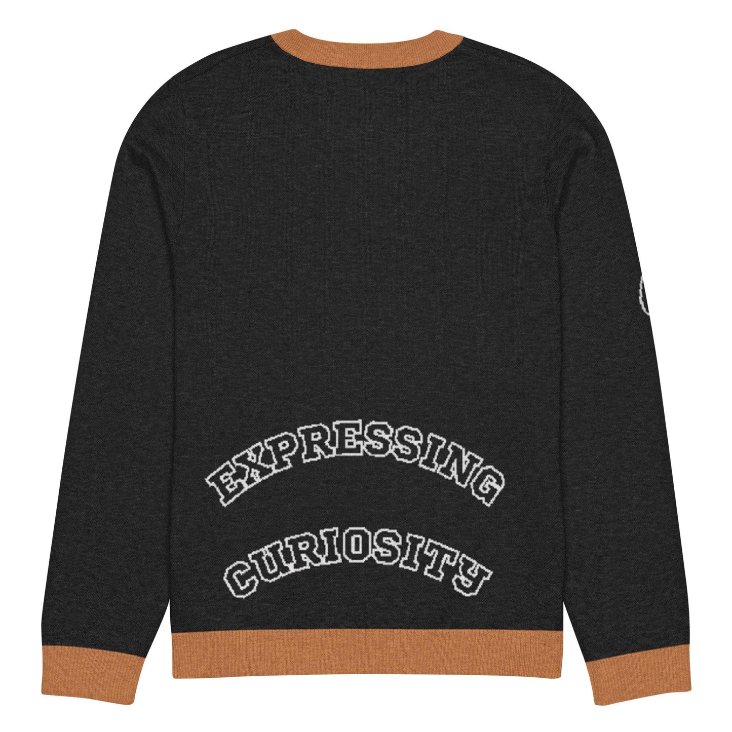 Omshway Expressing Curiosity Knitted Crew Neck Sweater featuring a unique embroidered design, offering a comfortable and stylish fit for a thoughtful, casual look. custom back view